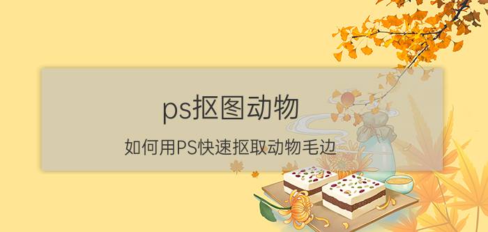 ps抠图动物 如何用PS快速抠取动物毛边？